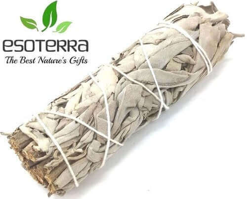 découvrez notre sauge venu tout droit de Californie de 11 cm . idéale pour purifier votre maison