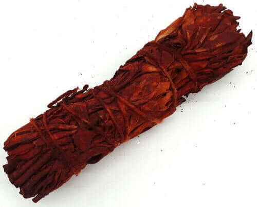 découvrez notre sauge au sang de dragon venu tout droit de Californie de 11 cm . idéale pour purifier votre maison